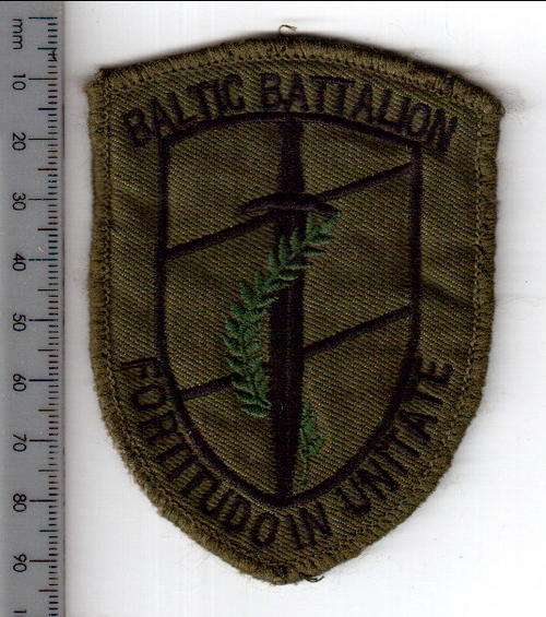 MILITARY Baltic battalion cloth badge - CRAZY R1 AUCTION