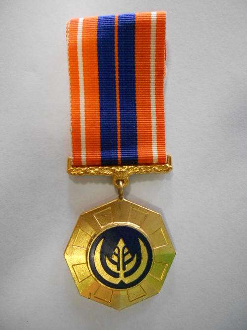 SADF Pro patria medal number 31687, old swivel type - as per scan