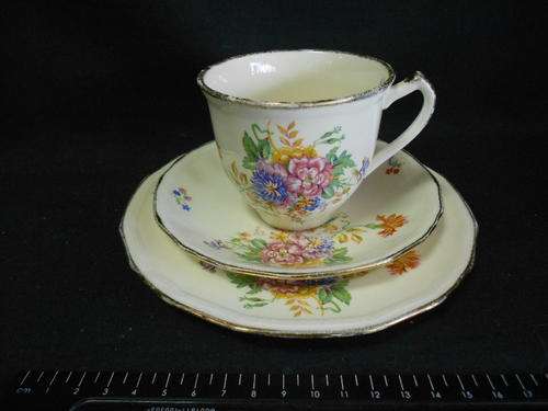 Alfred Meakin ''Brighton'' tea set trio - as per scan
