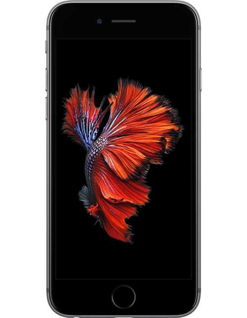 Apple IPHONE 6
