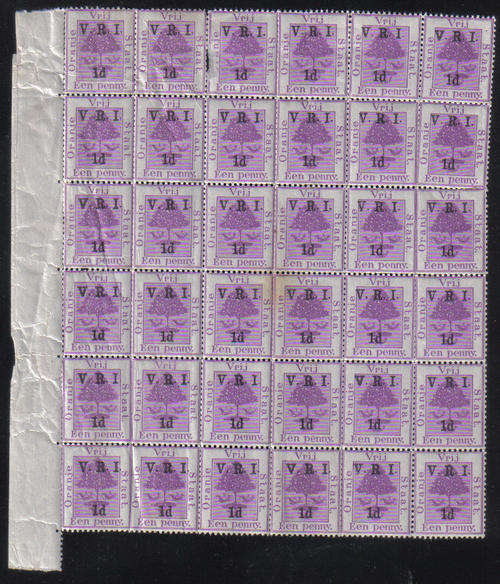 OFS - 1d on 1d Purple