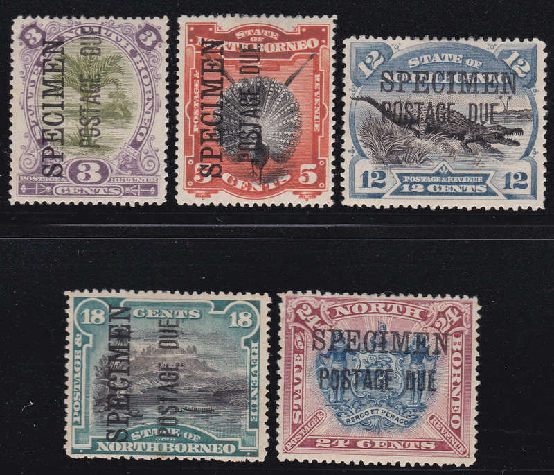 NORTH BORNEO 1895 SGD3,D5,D8,D10andD11 `SPECIMEN` POSTAGE DUE SET CV £160