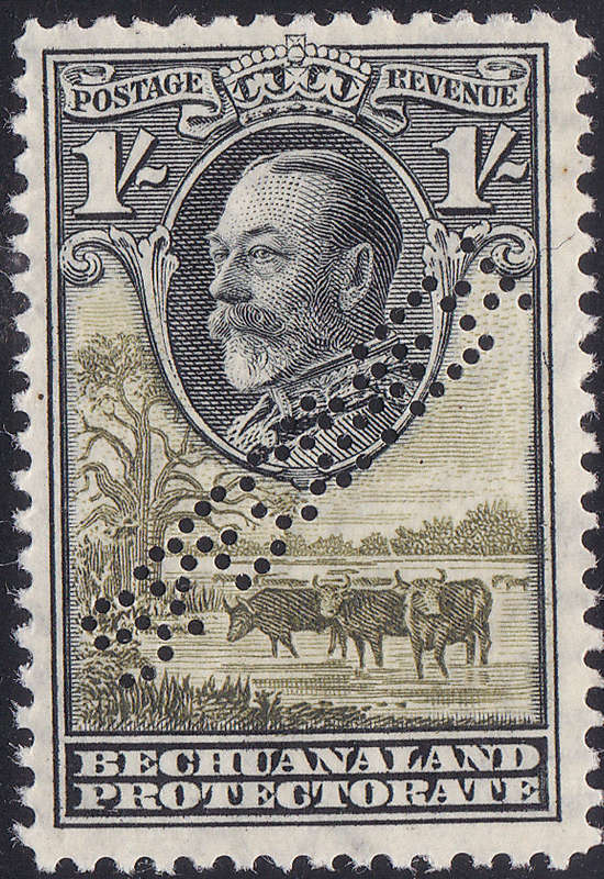 BECHUANALAND PROTECTORATE 1932 SACC100s 1/- BLACK and OLIVE-GREEN `SPECIMEN` UM CV R833