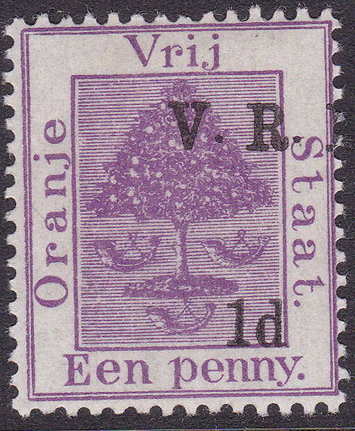 OFS 1900 SACC60v  1d ON 1d PURPLE WITH MISALIGNED O/P MM - UNLISTED