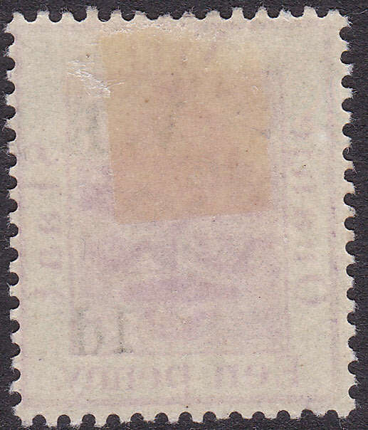 OFS 1900 SACC60v  1d ON 1d PURPLE WITH MISALIGNED O/P MM - UNLISTED