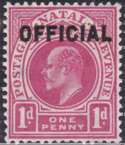 Natal 1904 SACC2 1d CARMINE ``OFFICIAL`` STAMP - MM - CV R180