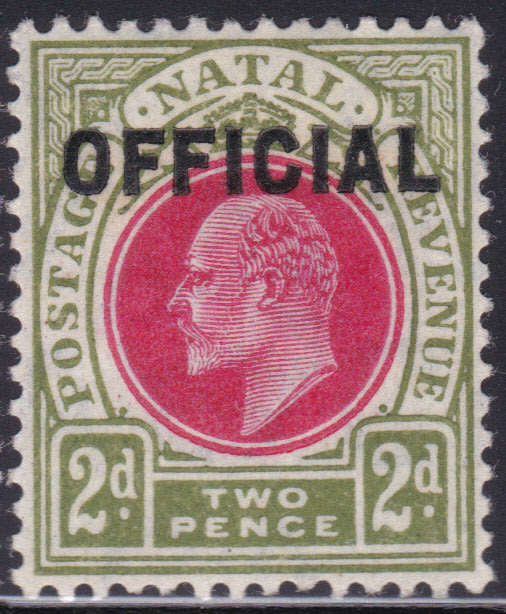 Natal 1904 SACC3 2d RED and OLIVE-GREEN ``OFFICIAL`` STAMP - LMM - CV R700