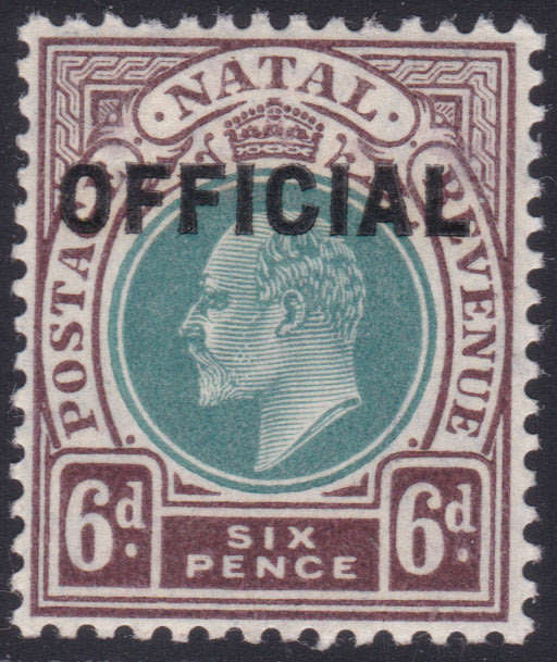 Natal 1904 SACC5 6d GREEN & BROWN-PURPLE ''OFFICIAL'' STAMP - LMM - CV R1400