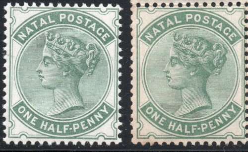 NATAL 1884 SACC94 ½d Blue-green(Watermark CA) - UM - CV R2500