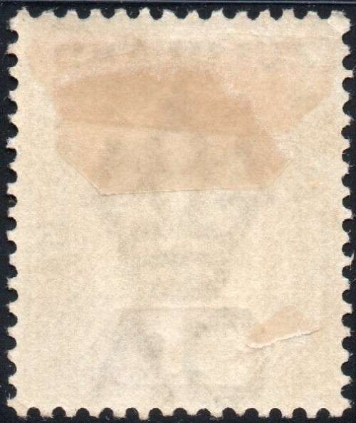ZULULAND 1894-6 SACC19 1/- GREEN - MM