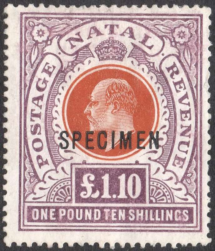 NATAL 1908 SG162s £1.10 BROWN-ORANGE & DEEP PURPLE  OVERPRINTED ``SPECIMEN`` - MM