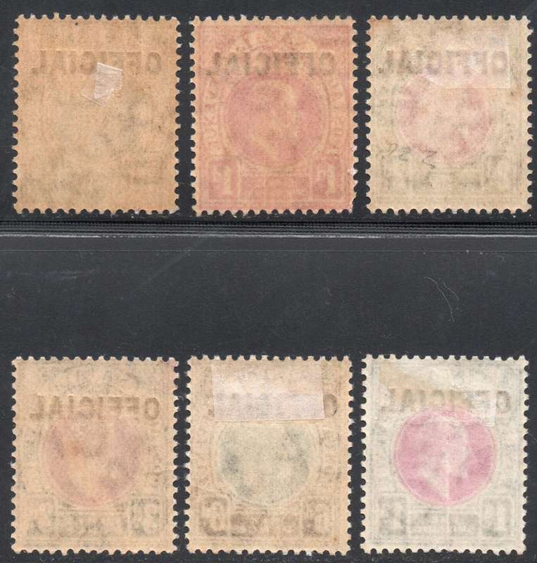 NATAL 1904 OFFICIAL STAMPS SACC1-6 COMPLETE SET OF SIX - MM - CV R12920