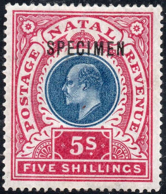NATAL SACC122s 5/- DULL BLUE & ROSE ``SPECIMEN`` - MM