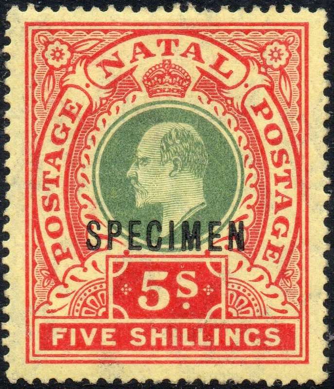 NATAL SACC143s 5/- GREEN & RED ON YELLOW ``SPECIMEN`` - MM