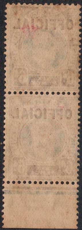 NATAL : 1904 : OFFICIAL STAMPS : SACC5 - 6d GREEN & PURPLE-BROWN  MARIGINAL PAIR - UM CV R8000