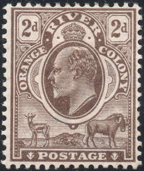 OFS / ORC SG141 2d BROWN MM