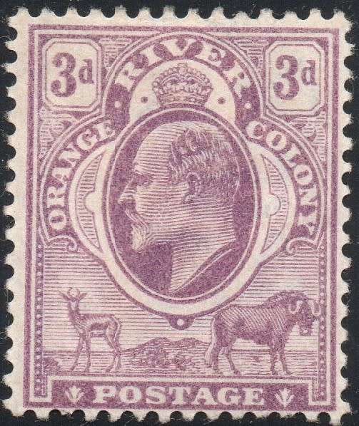 OFS / ORC SG143 3d MAUVE MM
