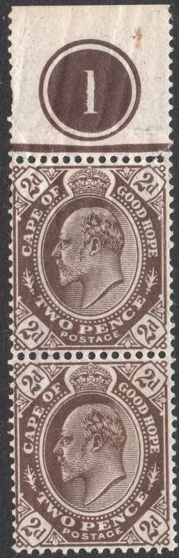CAPE OF GOOD HOPE : 1902 SACC67 2d BROWN VERTICAL CONTROL MARGINAL PAIR - UM -  CV R1600
