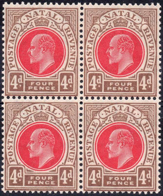 NATAL 1904-8 SACC133 : 4d CARMINE & CINNAMON BO4 - UNMOUNTED MINT