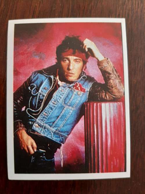 Chappies Pop Star Spectacular - Bruce Springsteen