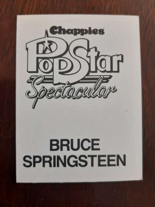 Chappies Pop Star Spectacular - Bruce Springsteen