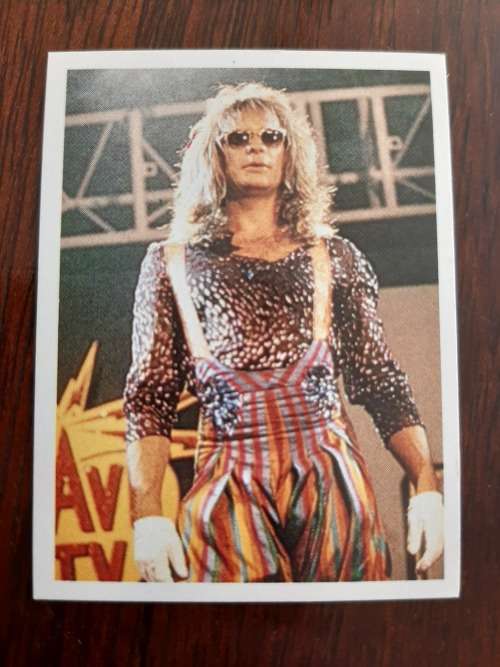 Chappies Pop Star Spectacular - David Lee Roth