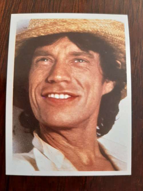 Chappies Pop Star Spectacular - Mick Jagger