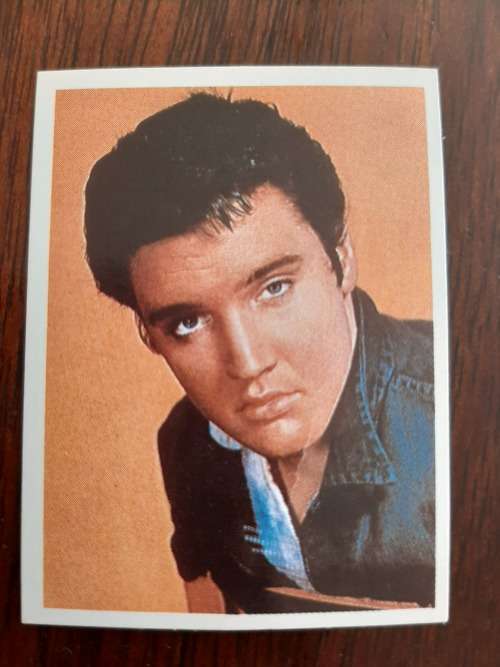 Chappies Pop Star Spectacular - Elvis Presley