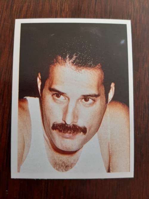 Chappies Pop Star Spectacular - Freddie Mercury