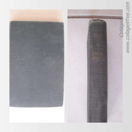 Ringside Seat by P. Wilson (SCARCE)