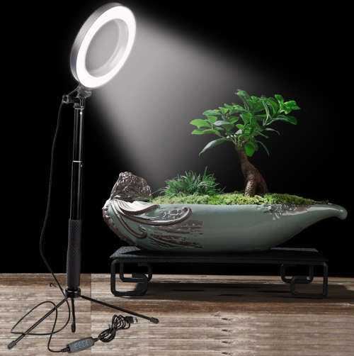Ring light 10 inch