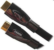 Aavara 10m HDMi to HDMi Cable (PHC100)