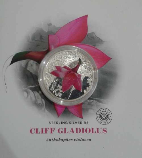 2016 SILVER COLOR R5 - CLIFF GLADIOLUS - COA No. 032