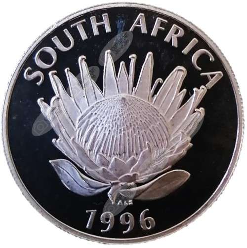 1996 Silver R1 Uncirculated - Constitution