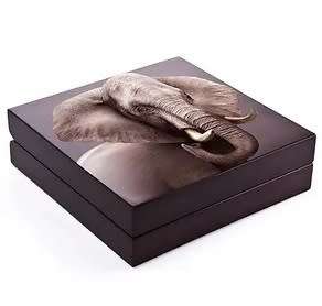 2021 Big 5 Release - Elephant 1KG Silver - Very Limited mintage of only 100