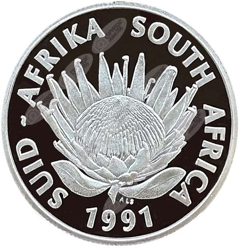 1991 Silver Proof R1 - Nursing