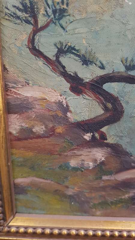 Beautiful oil on board signed by artist !!!!