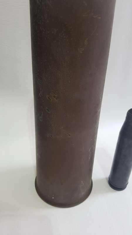 Two vintage shells bid for both!!!!