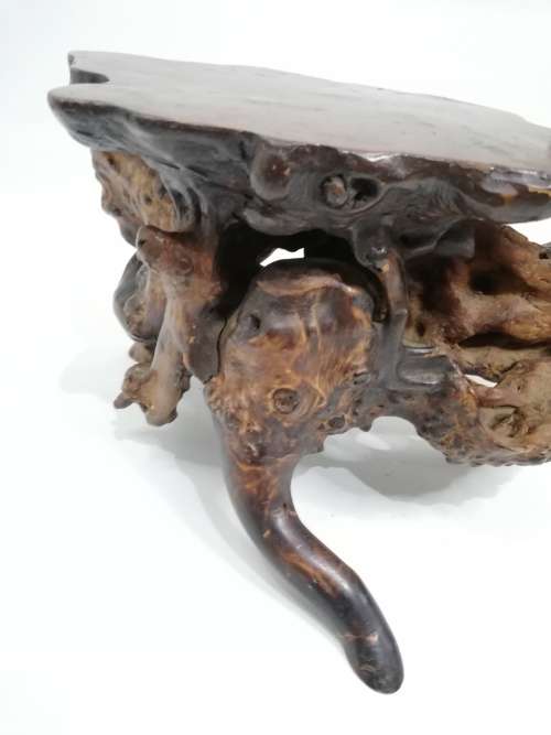 Stunning large  English Burr wood display piece!!!!!