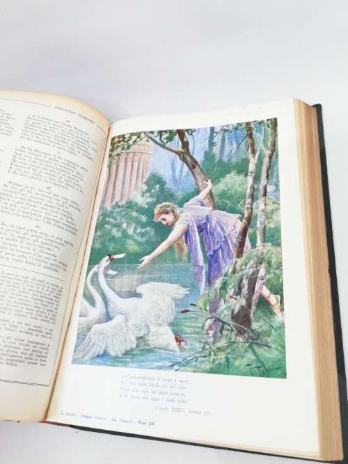 Large L Orlando Furioso book!!!!