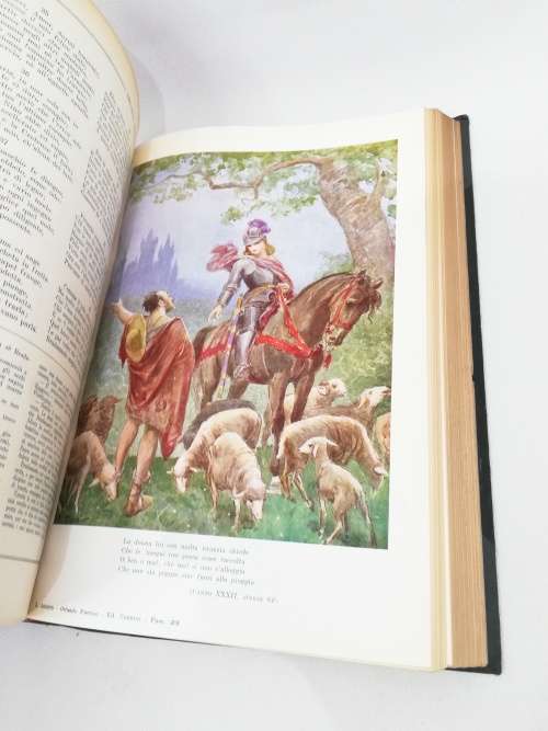 Large L Orlando Furioso book!!!!