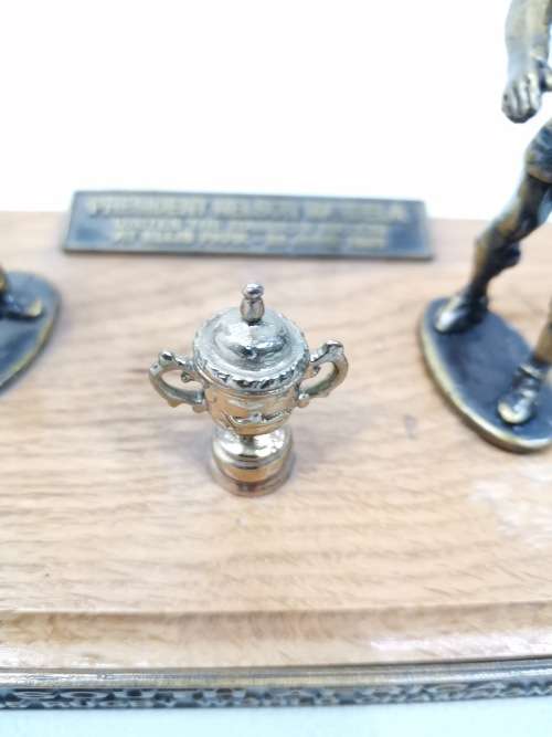 RARE 1995 rugby world cup display piece PRESIDENT NELSON MANDELA ELISS PARK 1995!!!!