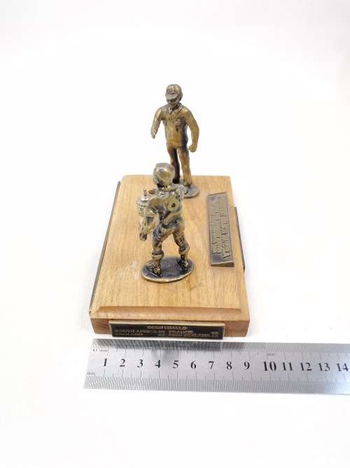 RARE 1995 rugby world cup display piece PRESIDENT NELSON MANDELA ELISS PARK 1995!!!!