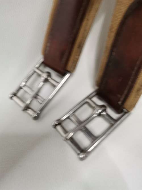 MARK TODD COLLECTION FOR HORSE!!!!!