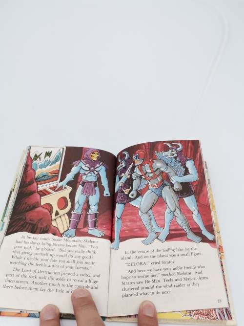 VINTAGE MASTERS OF THE UNIVERSE WINGS OF DOOM BOOK!!!