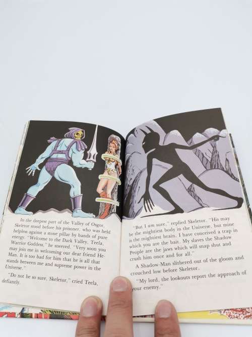 VINTAGE MASTERS OF THE UNIVERSE A TRAP FOR HE MAN BOOK!!