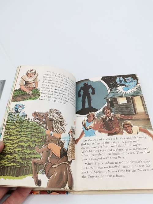 VINTAGE MASTERS OF THE UNIVERSE THE IRON MADTER BOOK!!