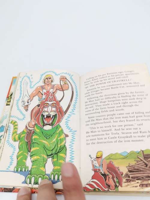 VINTAGE MASTERS OF THE UNIVERSE THE IRON MADTER BOOK!!