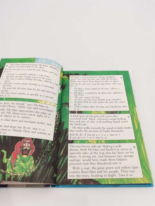 VINTAGE MASTERS OF THE UNIVERSE AND THE MEMORY STONE Adventure GAME BOOK!!!