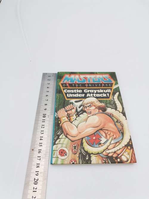 VINTAGE MASTERS OF THE UNIVERSE CASTLE GREY SKULL UNDER ATTACK BOOK!!